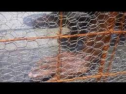 Ferro Cement Septic Tanks Youtube Cement Septic Tank Tank