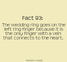Left Ring Finger Only Finger With Vein That Connects To Heart Words Quotes Favorite Quotes