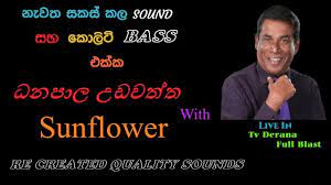 For your search query danapala udawatta nonstop mp3 we have found 1000000 songs matching your query but showing only top 20 results. Danapala Udavaththa Nonstop Download Man Ithaliye Danapala Udawaththa Mp3 Live With Flash Back Jayasrilanka Songs Written Man Ithaliye Thani Una