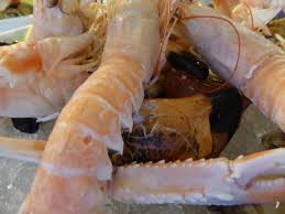 En Attendant Les Fruits De Mer Picture Of Restaurant Le Fa Royan Tripadvisor