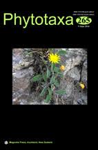 Image result for Justicia fittonioides