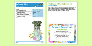 Maybe you would like to learn more about one of these? Celery And Food Colouring Experiment Pack
