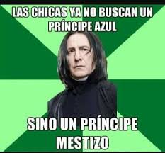 Con dieciséis años cumplidos, harry inicia el sexto curso en hogwarts en medio de terribles acontecimientos que asolan inglaterra. Humor Potterico Principe Mestizo Wattpad