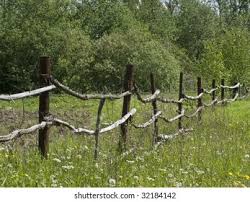 We did not find results for: Rough Pole Fence Vegetable Garden Russian Stock Photo Edit Now 32184142