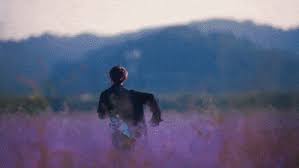 Check out my stray kids dedicated youtube @rubberducky_ur_the_1. Best Stray Kids M V Gifs Gfycat