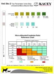 Urine Sticks Colour Chart Rapid Response Urine Dipstick