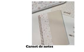 Ello, ante la consulta de su opinión de medidas para incentivar la vacunación aplicadas. Carnet Note Emmaverde Place Du Centre