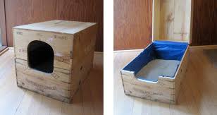Go from the litter box to the litter box container! 8 Creative Ways To Hide Your Cat S Litter Box Healthy Paws