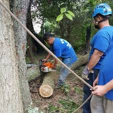 We offer all aspects of landscaping from weekly maintenance to landscape design and construction. Tree Service About Us Toms River Nj