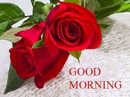 Good Morning Romantic Rose Free Download Good Morning Images Quotes Wishes Messages In 2020 Good Morning Sweetheart Images Good Morning Images Good Morning Roses