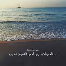 آم ي ر آلذو ق ۅ آلر ق ه ہ On Instagram فيديو تصميم صور رمزيات غزل بوح قصايد شيلات حب منشن كومنت فولو حضن انحراف Love Smile Quotes Beautiful Words Pictures