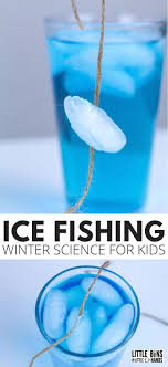 Ice Fishing Winter Science Project Fishing For Ice Winter Science Projects Winter Science Experiments Science Experiments For Preschoolers
