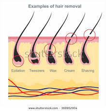 Examples Of Hair Removal Waxing Shaving Tweezers Creams Wax Udalenie Volos Lazernaya Epilyaciya Epilyaciya Saharom