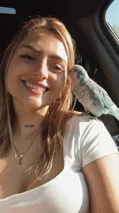 Arlene Domenico's Instagram, Twitter & Facebook