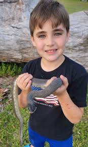 No need to type "non admin" before snake IDs