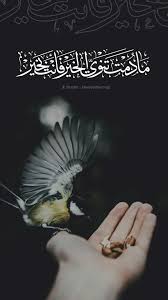 قم بالتصميم الآن مجاناً مع canva. Ø®Ù„ÙÙŠØ© Explore Tumblr Posts And Blogs Tumgir