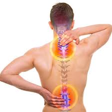 Boyun Fitigi Hakkinda