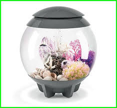 Membuat top filter aquarium youtube. Nyari Aquarium Ikan Cupang Keren Ini Rekomendasi Terbaik Daftarhewan Com