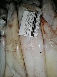 الفطر يغلق سوق السمك ببوجدور بعد إنتعاشة مهمة في المصطادات رافقت شهر الصيام البحر نيوز Albahr News