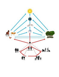 Montessori Chart Of Interdependency