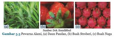 We did not find results for: Zat Aditif Pada Makanan Atau Minuman Bukusekolah Net