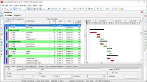 Color Primavera P6 Gantt Chart Bars Activity Codes