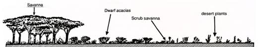 Savanna Climate Tropical Wet Dry Climate Pmf Ias