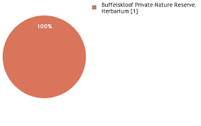 Image result for Isoberlinia angolensis