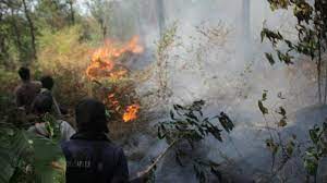 Tak hanya kebakaran di kalimantan, netizen indonesia juga mengeluhkan buruknya kualitas udara di riau, pekanbaru dan daerah sekitarnya sebagai dampak dari kebakaran hutan dan lahan (karhutla). Kalimat Fakta Dan Opini Dalam Teks Indonesia Darurat Kebakaran Hutan Berbagai Teks Penting