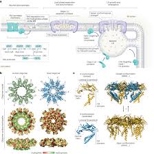 Image result for Lipid