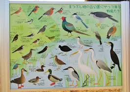 やすらぐ自然を追い求めて・ブログ編 - FC2