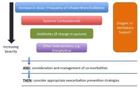 Image result for COPD Exacerbation Prevention