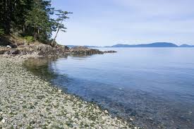 Upload photos view 35 photos. Sunset Beach Washington Park Outdoor Project