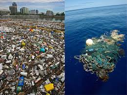 Water Pollution Suspended Matter Kongscienceeportfolio