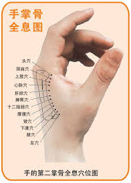 再談董氏奇穴的學術特色 health heal acupuncture points acupuncture