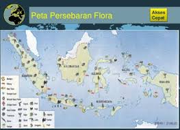Flora (tumbuhan) dan fauna (hewan) endemik di indonesia pun tak kalah banyak jumlahnya. Peta Persebaran Flora Dan Fauna Di Indonesia Lengkap Beserta Gambar