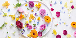 Check spelling or type a new query. Maddocks Farm Organics Buy Edible Flowers Online