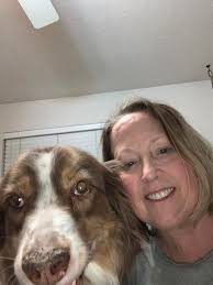 What are good remedies for dry noses in French Bulldogs?