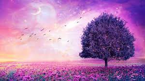 1920x1080 Purple Flower Wallpaper Free Download For Desktop Desktop Wallpapers High Definition Purple Flowers Wallpaper Abstract Art Wallpaper Field Wallpaper