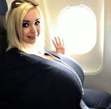 Woman Removed From Coach Seat Because Her Breasts Were Too Large - View  from the Wing