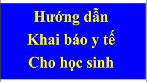 Ghi họ và tên in hoa, chọn năm sinh và giới tính, quốc tịch. Khai Bao Y Táº¿ Cho Há»c Sinh Youtube