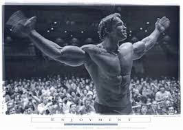 Amazon.com: Pumping Iron Poster B 24x36 Arnold Schwarzenegger Lou Ferrigno  Roger Callard: Prints: Posters & Prints
