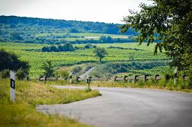 Recent landscape research in hungary. Landscape Hungary Nature Free Photo On Pixabay