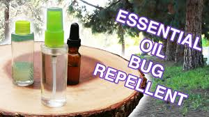 We did not find results for: Best Tiki Torch Fuel To Repel Mosquitoes How I Get Rid Of