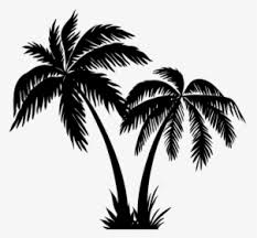 Untuk mempelajari lebih lanjut png pohon kelapa templat,grafik atau file vektor latar belakang untuk mendesain unduh gratis untuk anda dalam bentuk psd,png,eps atau ai,silakan kunjungi pikbest Palm Tree Silhouette Png Images Transparent Palm Tree Silhouette Image Download Pngitem