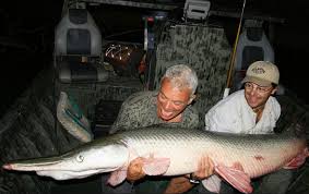 Are there alligators in dallas texas. Are There Alligators In North Texas Dfw Surf