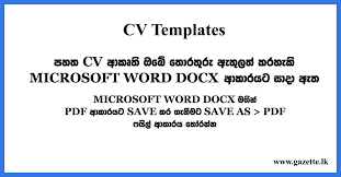 This is an accessible template. Cv Templates In Editable Cv Formats Gazette Lk