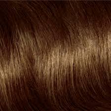 28 Albums Of Medium Golden Brown Hair Color Chart Explore