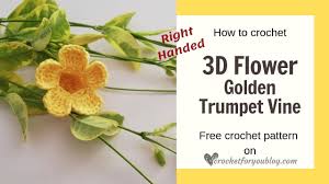5 drops, 5 times a day, under the tongue. How To Crochet 3d Flower Golden Trumpet Vine Right Handed Youtube