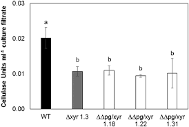 Maybe you would like to learn more about one of these? Synergistic Effect Of Different Plant Cell Wall Degrading Enzymes Is Important For Virulence Of Fusarium Graminearum Molecular Plant Microbe Interactions